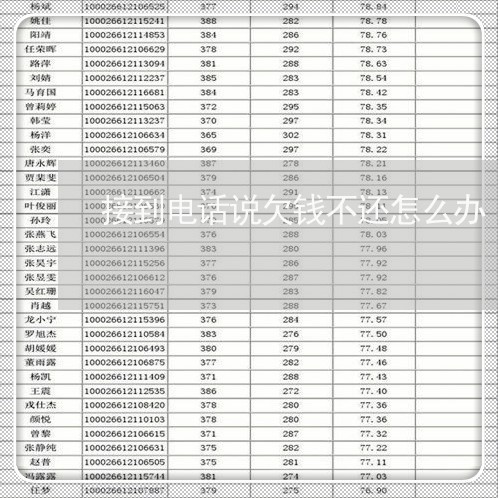 接到电话说欠钱不还怎么办/2023110666239