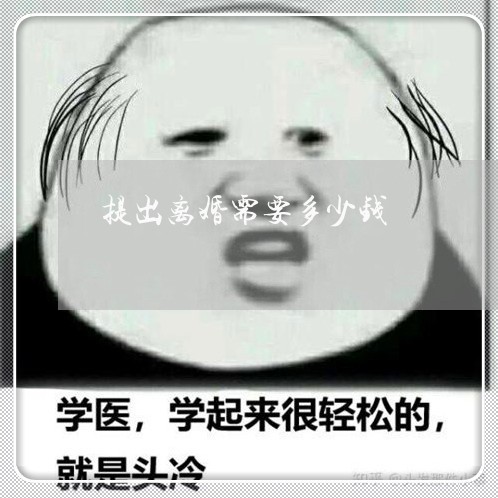 提出离婚需要多少钱/2023110506939