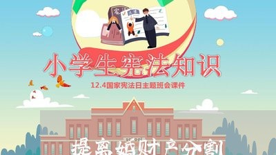 提离婚财产分割/2023121830705