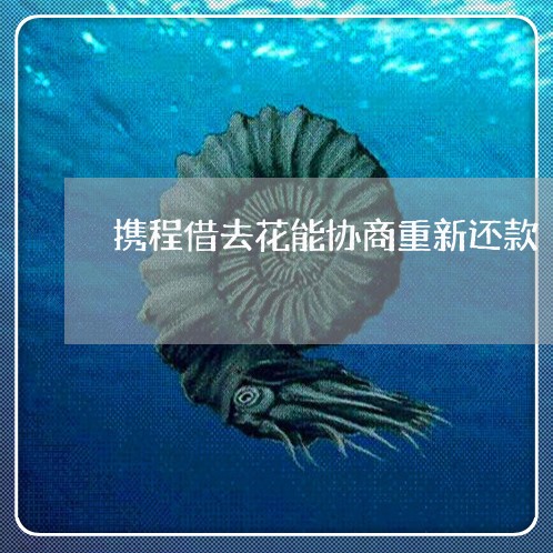 携程借去花能协商重新还款/2023100748380