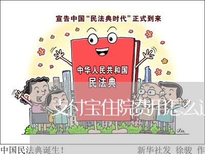 支付宝住院费用怎么退费/2023062080471