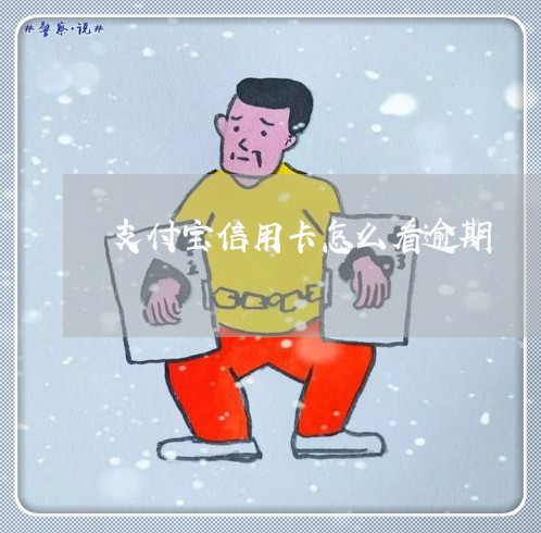 支付宝信用卡怎么看逾期/2023052654937