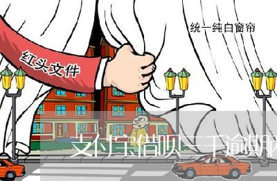 支付宝借呗三千逾期两年没还/2023053075149