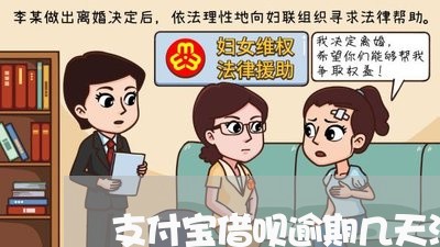 支付宝借呗逾期几天没事吧/2023080530484