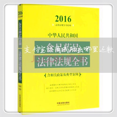 支付宝协商成功去哪里还款/2023100680594