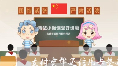 支付宝帮还信用卡垫还/2023120427159