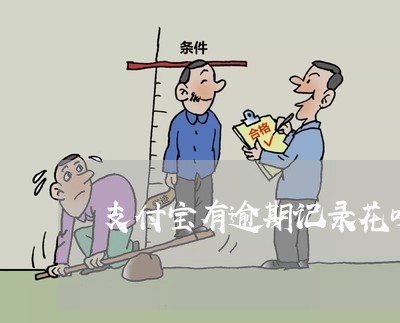 支付宝有逾期记录花呗怎么还/2023072301825