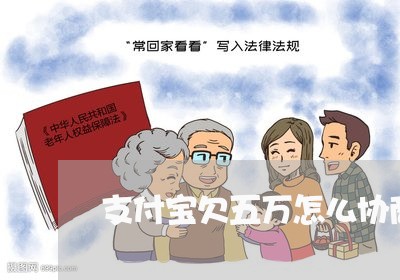 支付宝欠五万怎么协商还款/2023092649471