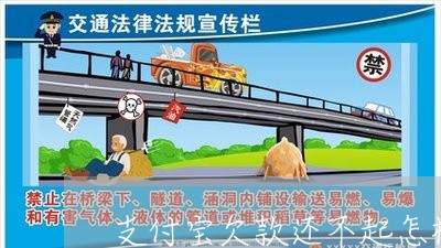 支付宝欠款还不起怎样协商还款/2023100714848