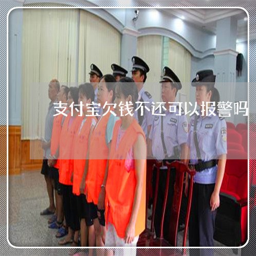 支付宝欠钱不还可以报警吗/2023110851596