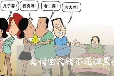 支付宝欠钱不还拉黑会怎样/2023093028369