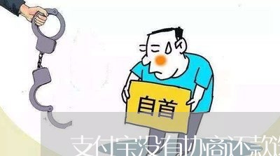 支付宝没有协商还款选项/2023092540404