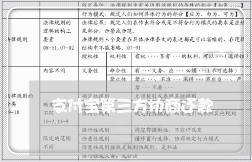 支付宝第三方协商还款/2023100859481