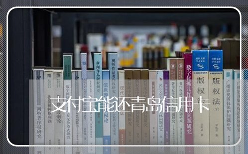 支付宝能还青岛信用卡/2023102876047