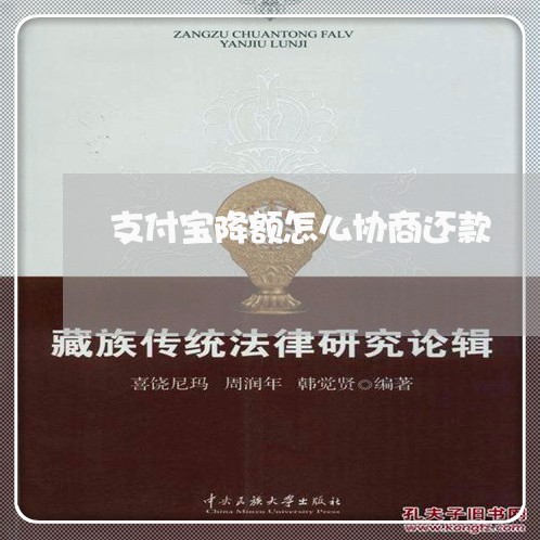 支付宝降额怎么协商还款/2023100639284