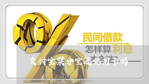 支付宝集分宝还信用卡吗/2023081583714