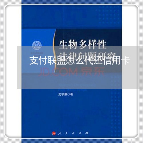 支付联盟怎么代还信用卡/2023120545350