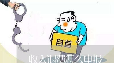 收入退费怎么申报/2023042895146