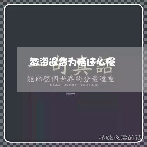 教资退费为啥这么慢/2023060817260