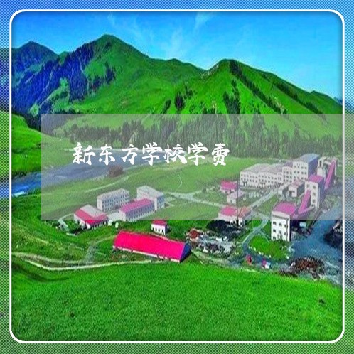 新东方学校学费/2023032641471