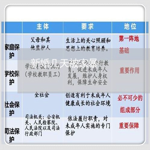 新婚几天被家暴/2023091141583