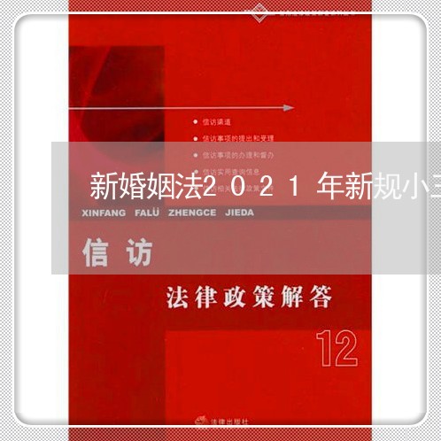 新婚姻法2021年新规小三/2023081373826