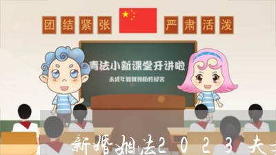 新婚姻法2023夫妻共同财产/2023112340683