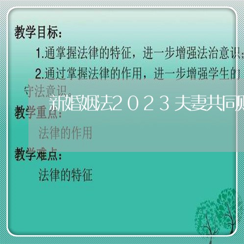 新婚姻法2023夫妻共同财产/2023112361594