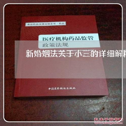 新婚姻法关于小三的详细解释/2023081372636