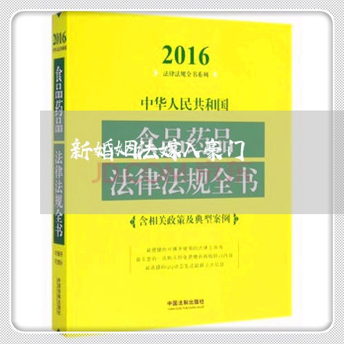 新婚姻法嫁入豪门/2023081308369