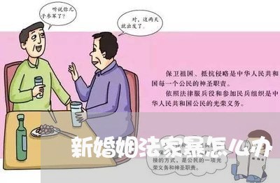 新婚姻法家暴怎么办/2023111085836