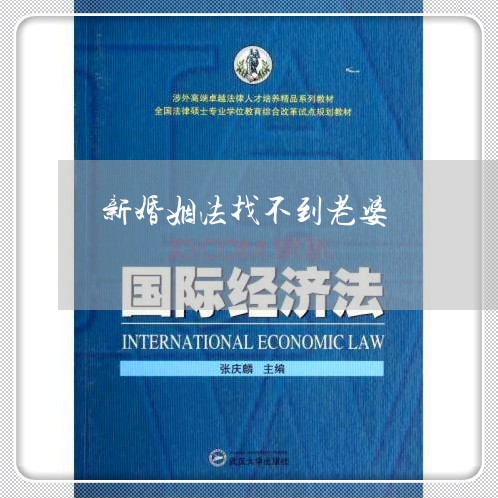 新婚姻法找不到老婆/2023081384715