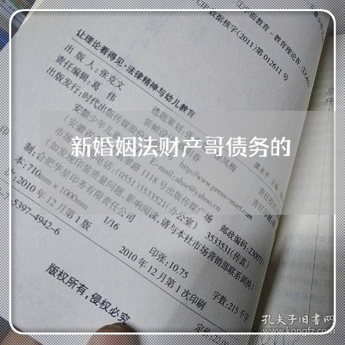 新婚姻法财产哥债务的/2023112447169