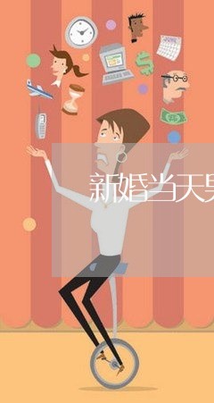 新婚当天男生家暴/2023100764048