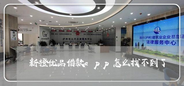 新橙优品借款app怎么找不到了/2023032582804