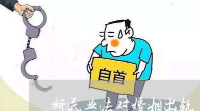 新民典法对婚姻出轨/2023111073926