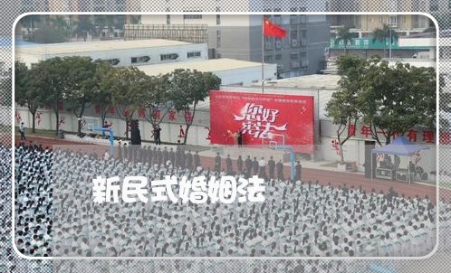 新民式婚姻法/2023081338038