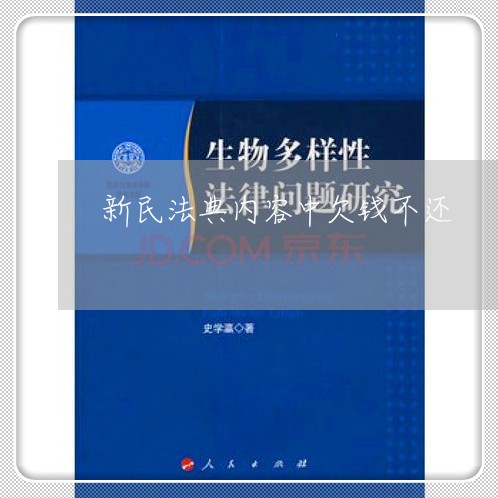 新民法典内容中欠钱不还/2023092649480