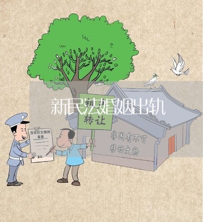 新民法婚姻出轨/2023090680482