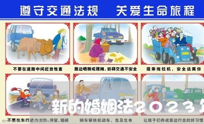 新的婚姻法2023年实行的/2023081385738