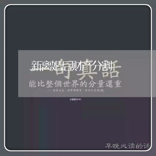 新离婚后财产分割/2023100151535