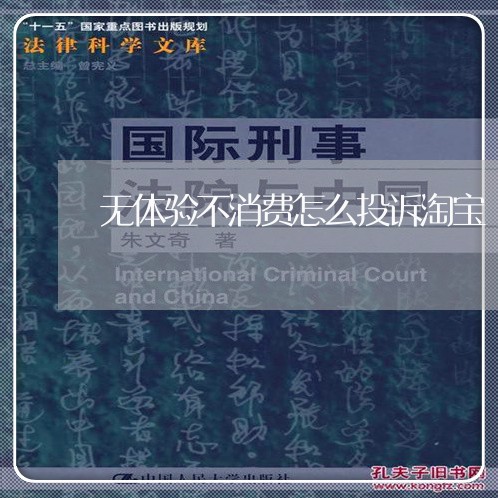 无体验不消费怎么投诉淘宝/2023030759472