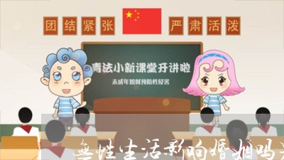 无性生活影响婚姻吗男的/2023112462413