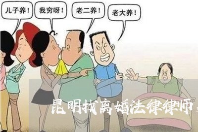 昆明找离婚法律律师多少钱/2023111406057