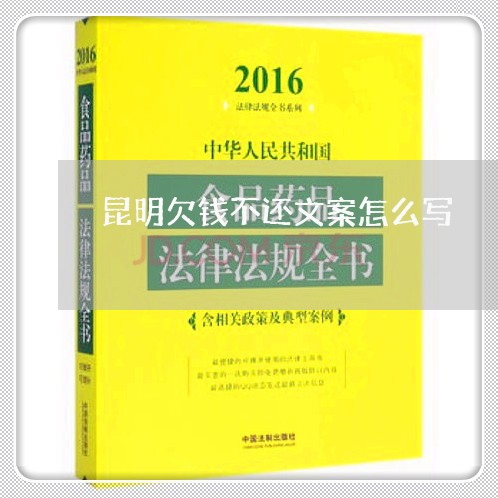 昆明欠钱不还文案怎么写/2023091538261