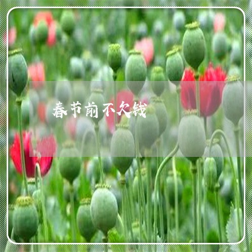 春节前不欠钱/2023121937159