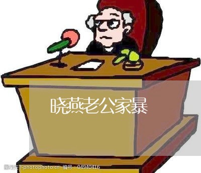 晓燕老公家暴/2023091463038