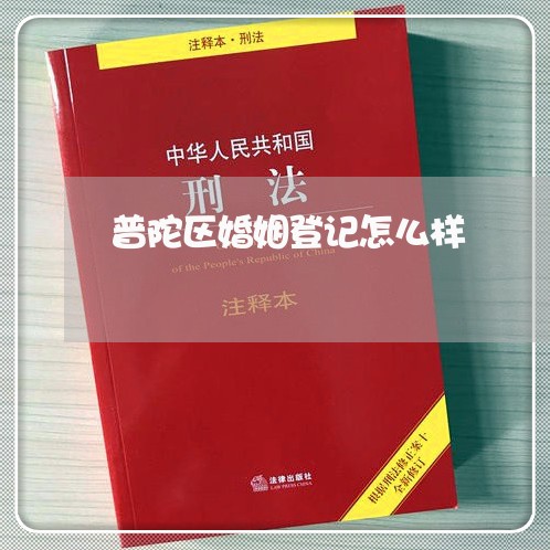 普陀区婚姻登记怎么样/2023112715057