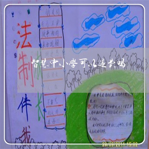 智慧中小学可以退费吗/2023040913916