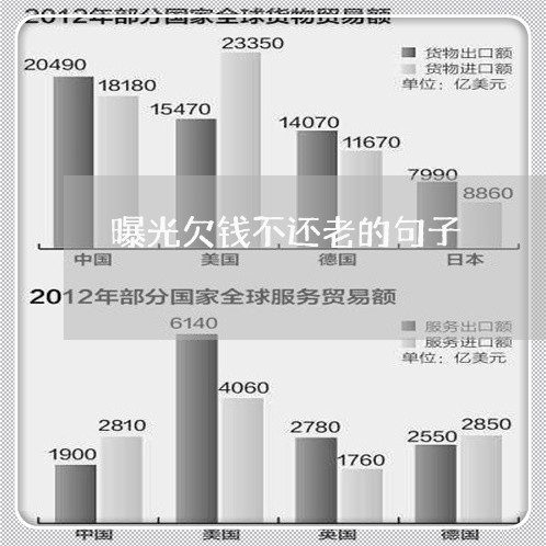 曝光欠钱不还老的句子/2023112571473